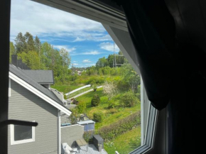 Loftroom in townhouse Oslo 1 singel bed 1 double bed